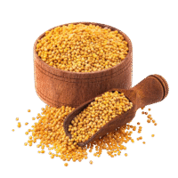 Yellow Mustard 250 Gm