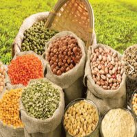 Dals & Pulses