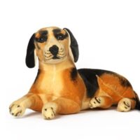 Sitting Beagle Dog