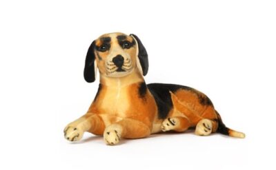 Sitting Beagle Dog