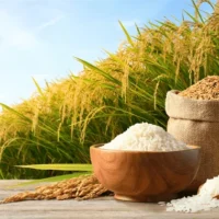 Rice & Rice Products