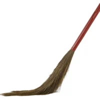 Indian Grass Broom Phool Jhadu