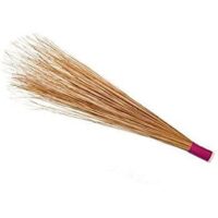 Coconut Khadika Jhadu