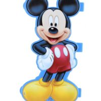 Mickey Mouse  Double Deck Durable Plastic Pencil Box